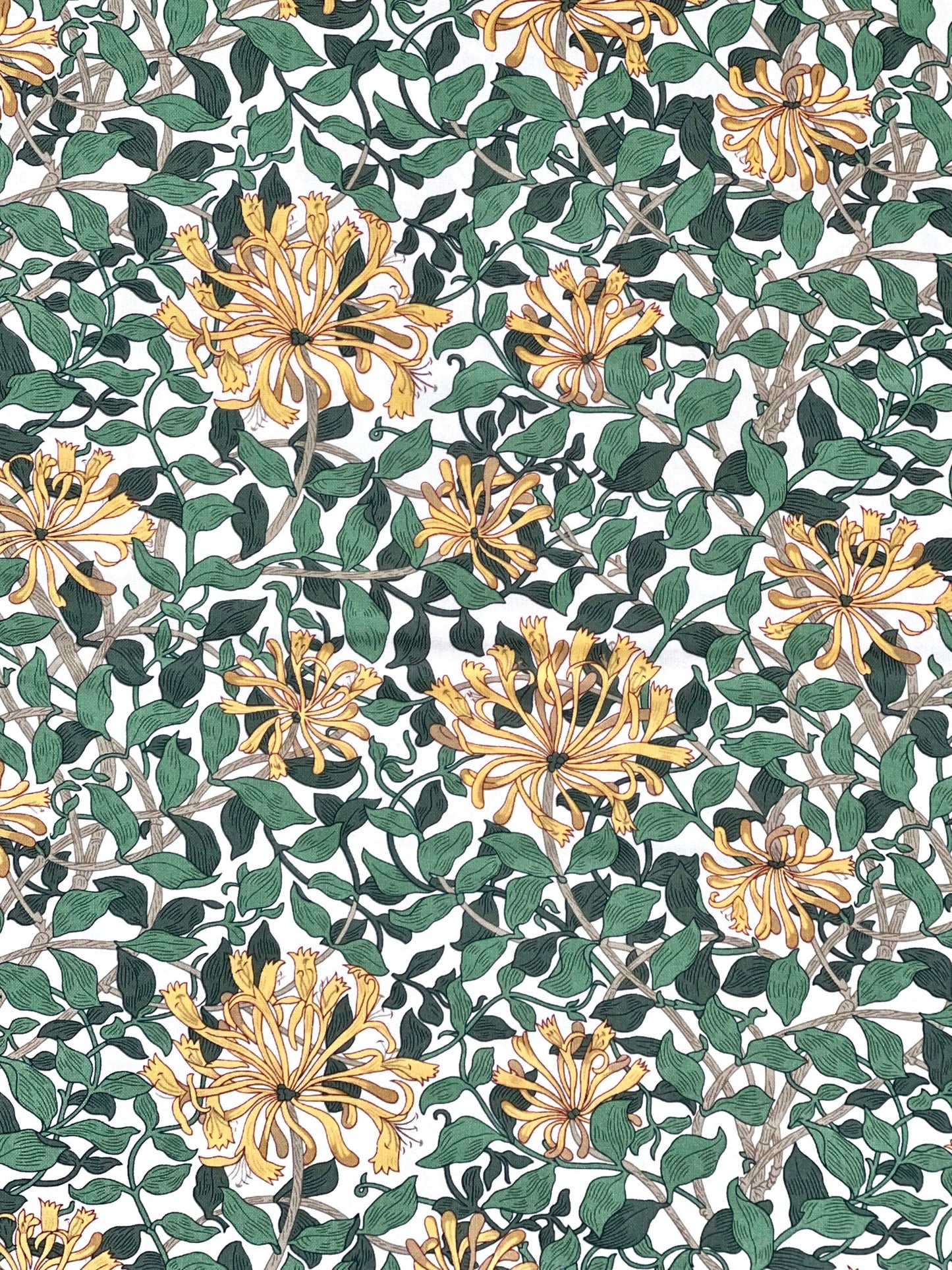 WM Fabric piece - Honeysuckle - White